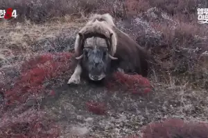 thumbnail - 기안84 결국 해냈다…시청률 상승세 속 또 ‘자체 기록’ 경신한 ‘이 프로그램’