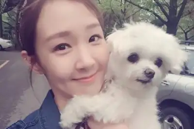 thumbnail - “눈도 그대로 뜨고 있어” 오정연, 가족 떠나보내고 ‘오열’