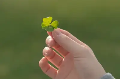 thumbnail - “3년 만의 재회, 또 한 번 증명”…공개 직후 13개국 정상 오른 ‘한국 드라마’