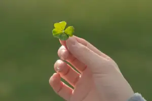 thumbnail - “3년 만의 재회, 또 한 번 증명”…공개 직후 13개국 정상 오른 ‘한국 드라마’