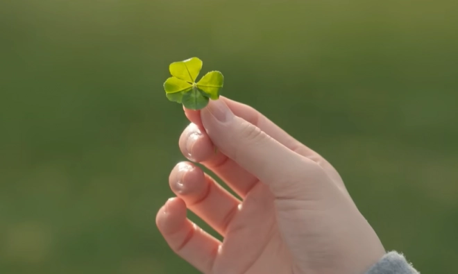 “3년 만의 재회, 또 한 번 증명”…공개 직후 13개국 정상 오른 ‘한국 드라마’