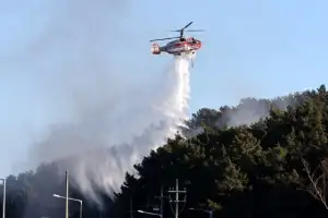 thumbnail - 부산 기장 산불 큰 불길 잡혀