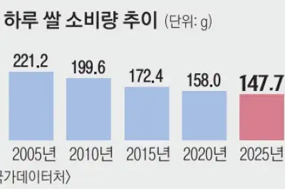 thumbnail - 하루 작은 공기 하나도 안 먹어…밥, 갈수록 ‘찬밥 신세’