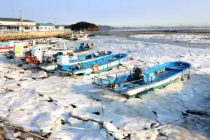 thumbnail - ‘얼어붙은’ 예단포항