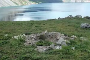 thumbnail - 北 백두산 천지서 발견된 조선시대 무덤