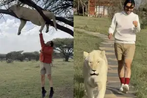 thumbnail - “AI가 아니라고?”…노홍철, 아프리카서 사자와 산책 근황