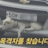 thumbnail - “설마 학대?” 차량 범퍼에 끼인 백구…“억측 말아달라” 알고 보니
