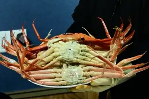 thumbnail - 울진 후포항은 지금 ‘게판’… 니들이 구운 게맛을 알아?