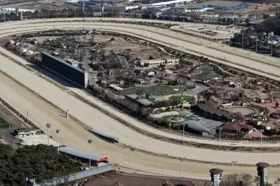 thumbnail - 과천 경마장 경기도 밖 안 간다…송미령 “도내 이전”