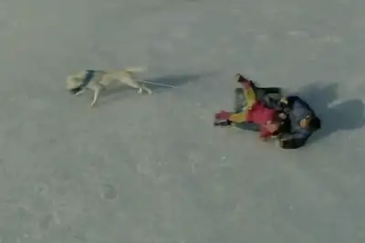 thumbnail - 출연작마다 흥행 성공한 ‘이 여배우’…‘쿠팡플레이 시리즈’로 차기작 선보인다