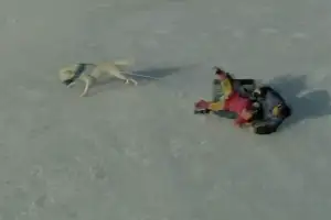 출연작마다 흥행 성공한 ‘이 여배우’…‘쿠팡플레이 시리즈’로 차기작 선보인다