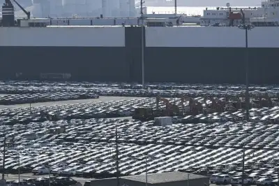 thumbnail - 관세 재협상 나서다 되레 트럼프의 타깃 될라… 긴장하는 재계