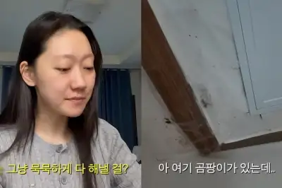 thumbnail - ‘도깨비’ 출연 배우, 곰팡이 핀 원룸살이 공개 “세상이 팍팍”