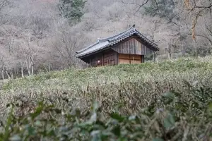 thumbnail - 온기로 씻어낸 자리, 차향으로 감싸고… 잡념을 비워낸 자리, 무소유로 채우네