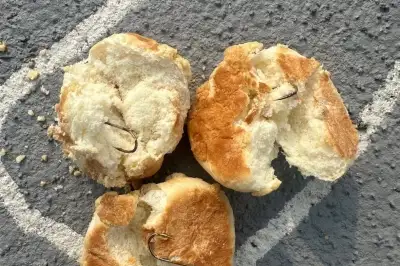 thumbnail - “반려견 놀이터에 낚싯바늘 박힌 빵 10개”… 견주들 분노케한 사진