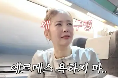 thumbnail - 장영란, 굴욕 당했던 명품 H사 구매 인증…“욕하지 마”