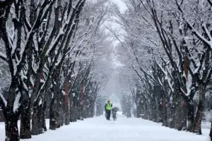 thumbnail - 하얗게 변한 거리
