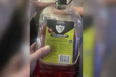 thumbnail - 주스 대신 ‘살충제 음료’ 건넨 호주 식당…“4100만원 벌금 내라” 판결