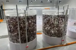 thumbnail - “육지서 사계절 김 생산”… 충남 기술특허 등록