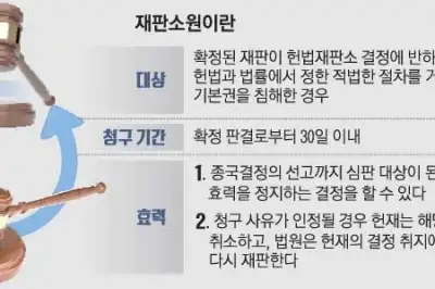 thumbnail - 재판소원 ‘1호’ 노리는 로펌들…TF 꾸리고 헌재 출신 영입나서[사법검찰개혁이 바꾸는 서초동] <상>