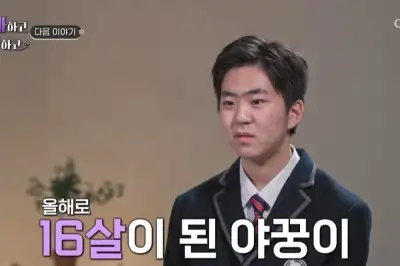 thumbnail - ‘16세에 6개국어’ 김정태 아들, “아스퍼거 증후군 의심”…어떤 증상이길래