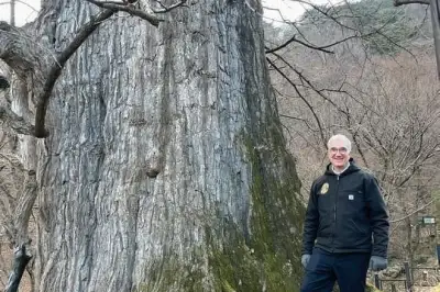 thumbnail - [단독] 美하버드 수목원서 싹튼 ‘K-식물’의 위로…100여년 된 韓 은행나무가 3대를 잇다