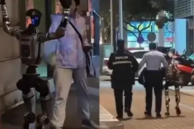 thumbnail - “로봇이 따라와 위협”…70대 뒤쫓은 로봇, 경찰에 끌려갔다[포착]