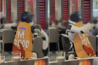thumbnail - “춤추다 접시 날려” 서빙 로봇, 소름돋는 돌발 행동…직원들 ‘질질’
