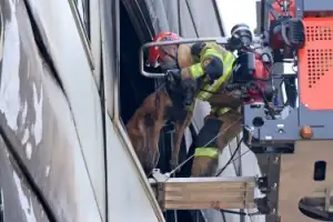 thumbnail - 구조견과 함께 진입