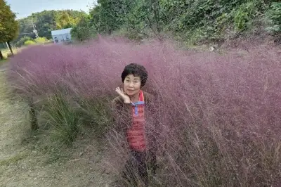 thumbnail - 귀갓길 교통사고로 뇌사… 3명에 새 생명 준 71세 할머니