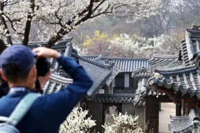 thumbnail - 봄을 품은 낙선재