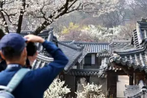 thumbnail - 봄을 품은 낙선재