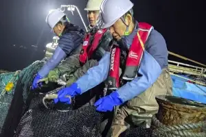 thumbnail - 새벽 조업 나선 정청래 대표