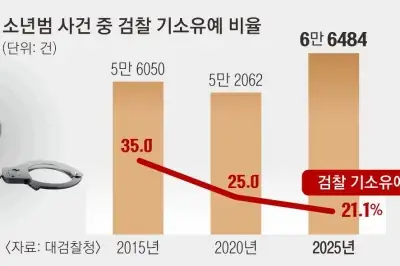 thumbnail - 촉법소년 연령 하향의 역설…“되레 기소유예 늘어날 수도”