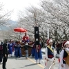 thumbnail - ‘벚꽃 명소’ 영암 왕인문화축제 4일 개막