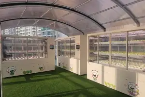 thumbnail - 마포 도시농장엔 딸기가 주렁주렁