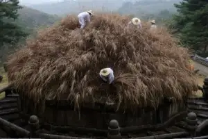 thumbnail - 한식 맞아 건원릉 억새 제거 ‘청완 예초의’