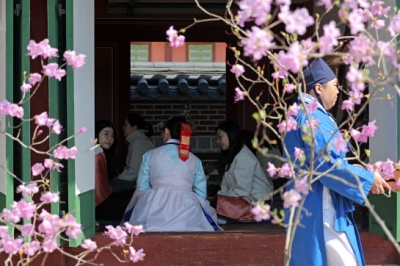 thumbnail - 봄날 경복궁에서 생과방 체험