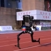 thumbnail - 100m 10초에 주파…中로봇, 우사인 볼트만큼 빨랐다