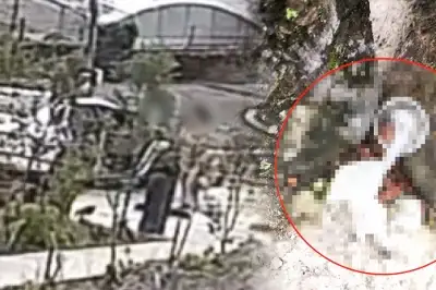 thumbnail - 남의 집 주차장을 ‘모텔처럼’…애정행각 뒤 쓰레기까지 버려