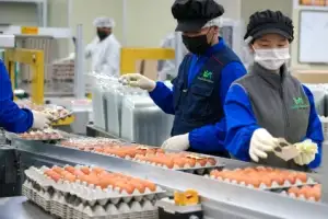 thumbnail - 태국산 신선란 유통 준비