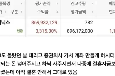thumbnail - “엄마가 3만원대에 사준 SK하이닉스 주식, 9억” 대박 사연