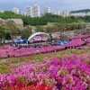 thumbnail - 군포철쭉축제(18일~26일), 문화격차 해소 “문화누리카드로 즐기세요!”