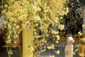 thumbnail - 화려한 목향장미 활짝