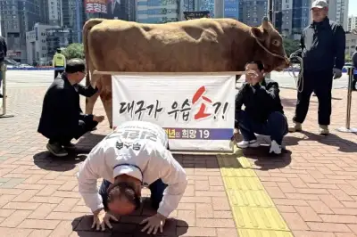 thumbnail - 소 끌고 나와 큰절