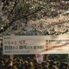 thumbnail - 송파 석촌호수 벚꽃축제 900만명 왔다