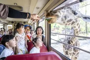 thumbnail - 에버랜드, 5월 황금연휴 가족 체험 프로그램 ‘풍성’