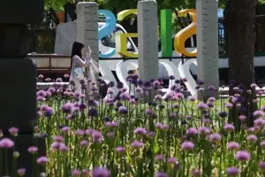 thumbnail - “일상서 즐기는 정원” 서울국제정원박람회