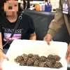 “공항서 수상한 여성 포착”…옷 안에서 ‘멸종위기 거북이’ 30마리 후두둑