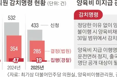 thumbnail - 소송 끝 9년 만에 받아낸 양육비…해외 나가면 법 집행도 무용지물